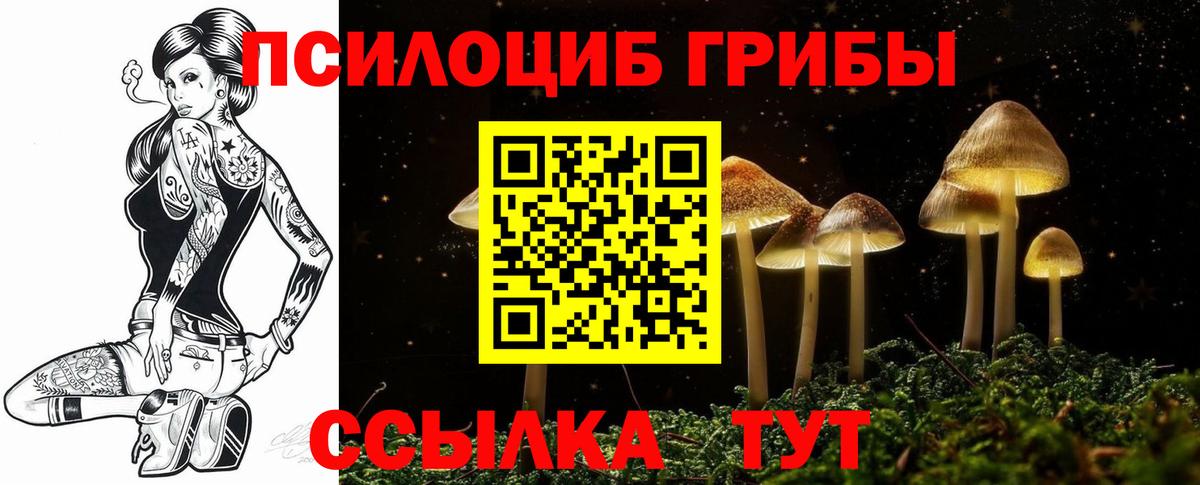 Галлюциногенные грибы MAGIC MUSHROOMS Новоалтайск
