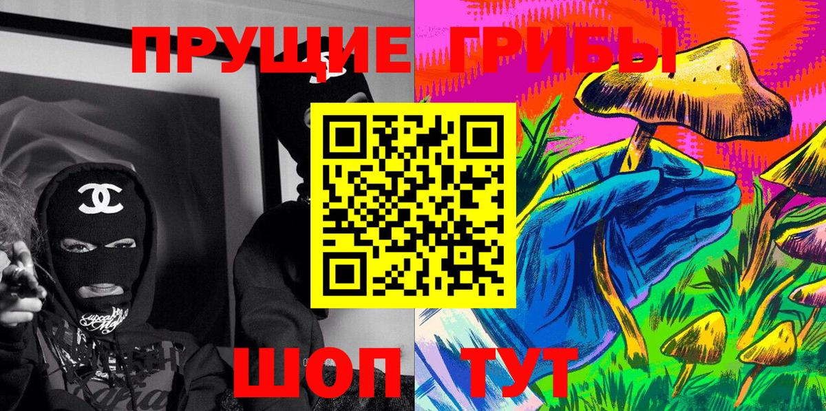 закладка  Вход с VPN  Новоалтайск  Псилоцибиновые грибы Cubensis 